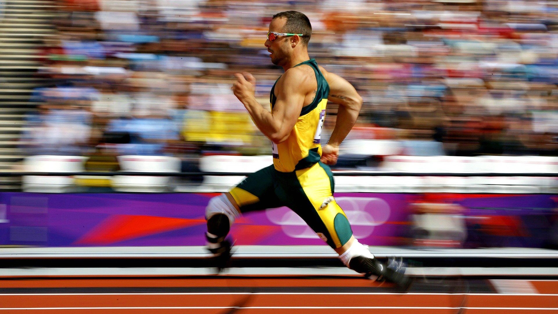 广州龙狮赛场执行力明显提升，广州龙狮主场在哪